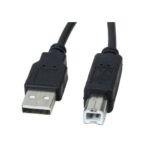 Cable USB 2.0 macho A a macho B Xtech XTC-303 10ft - Imagen 2